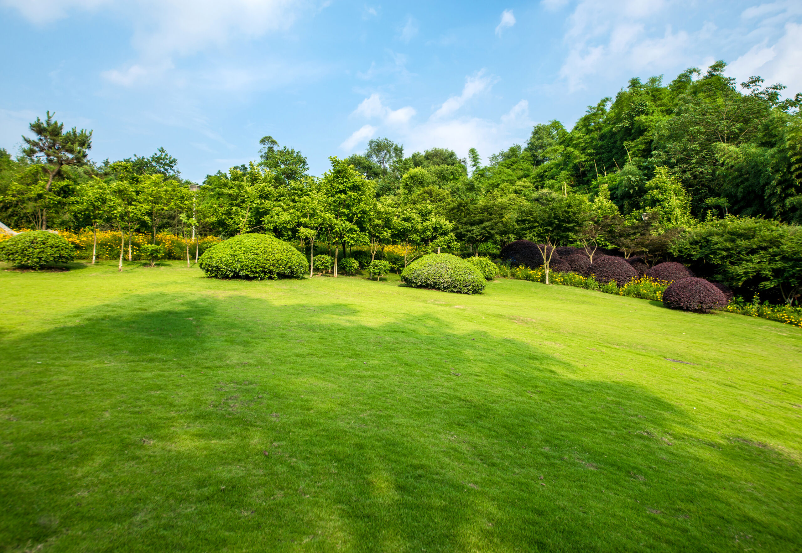 grassland landscape and greening environment park background